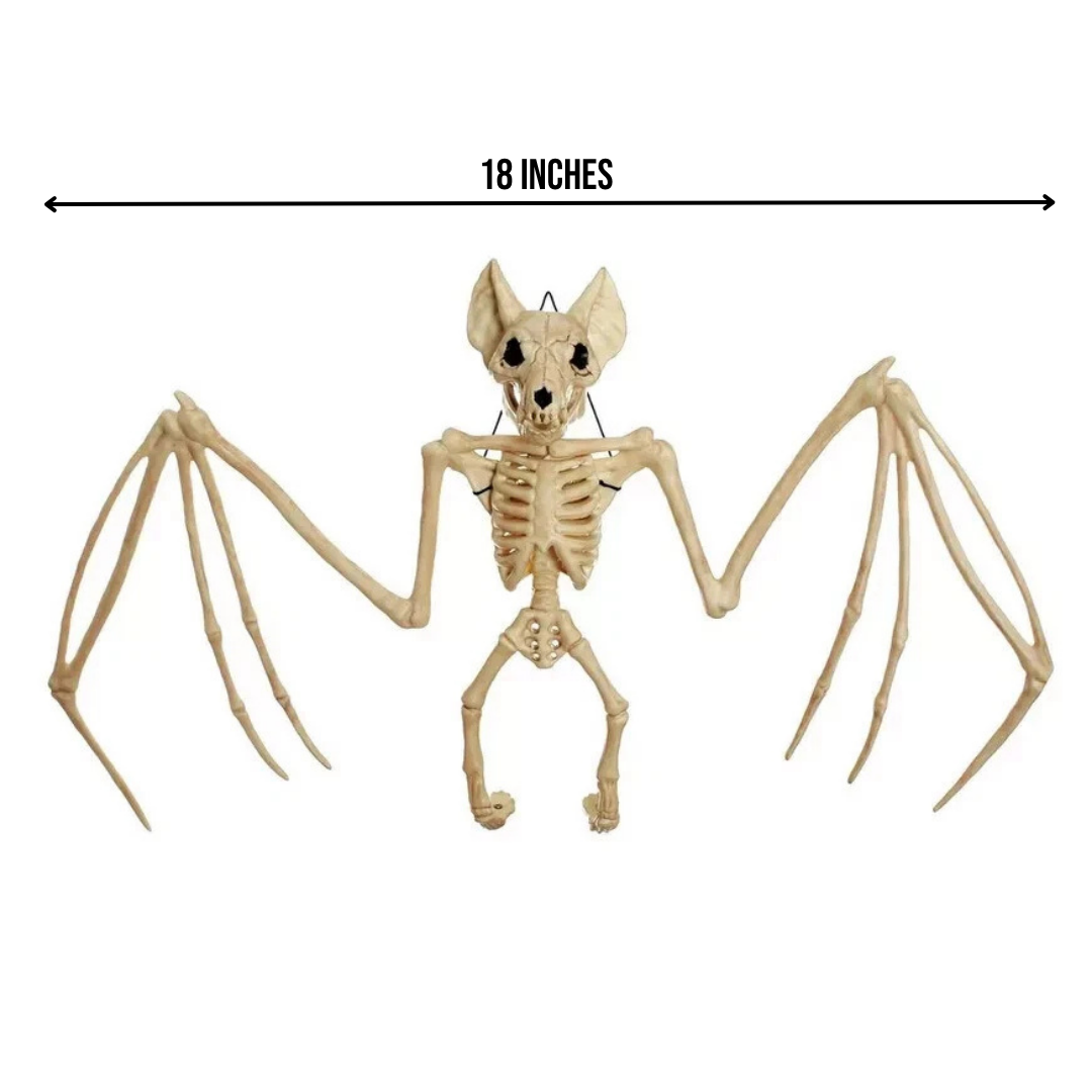 WS Bat Skeleton - 18"