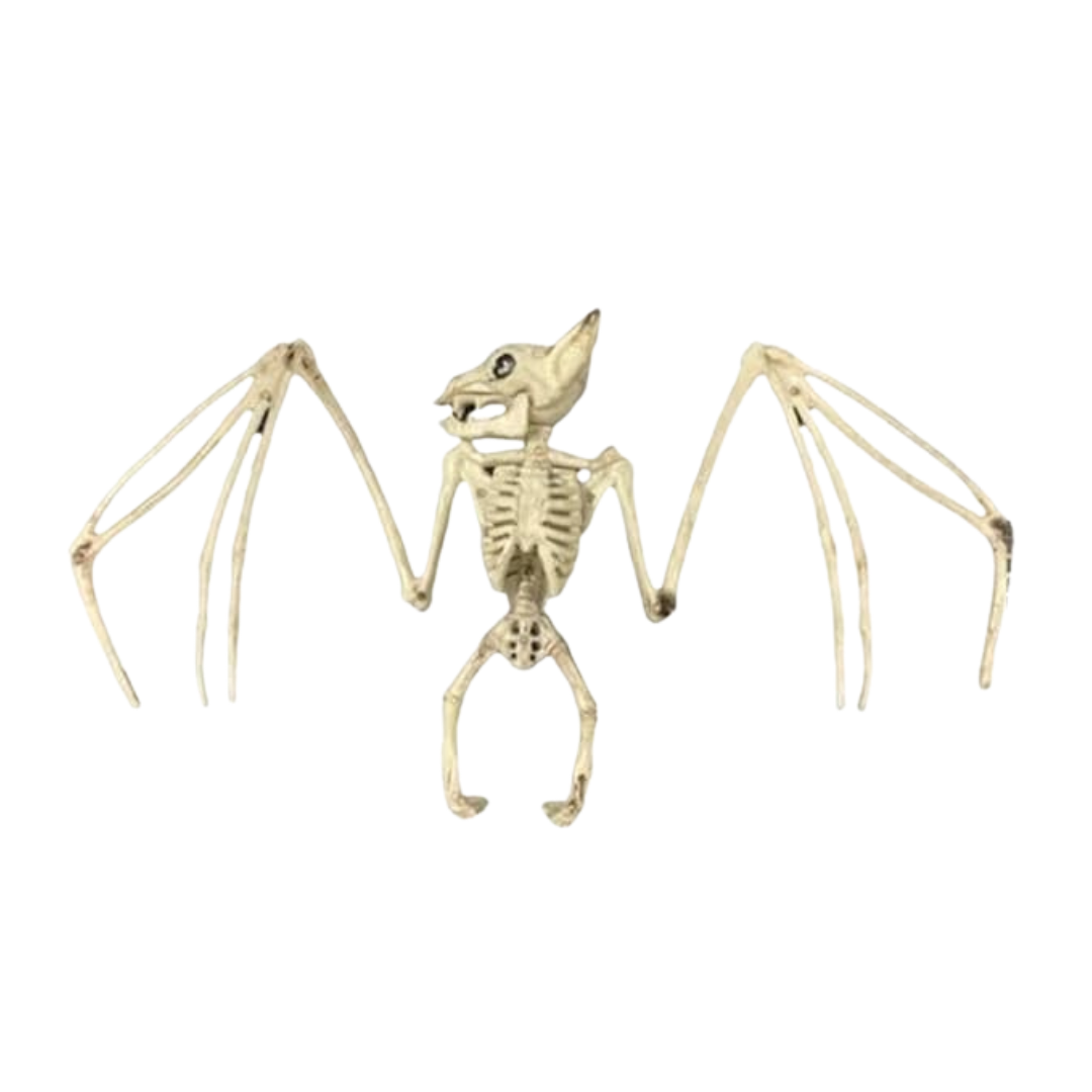 WS Bat Skeleton - 18"