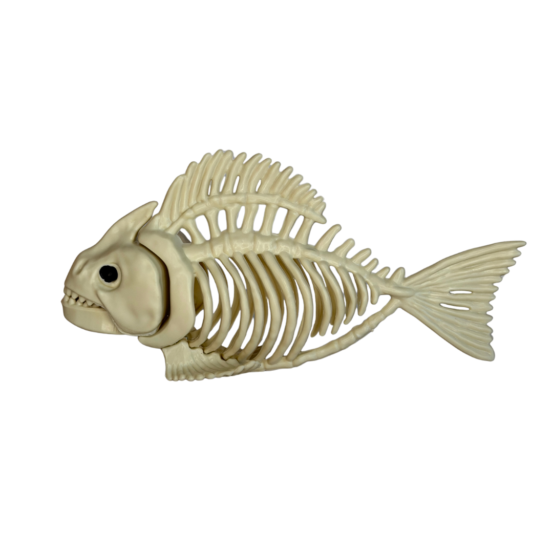 Fish Skeleton - 8"