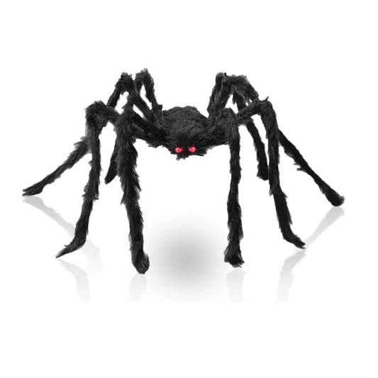 Black Fuzzy Spider