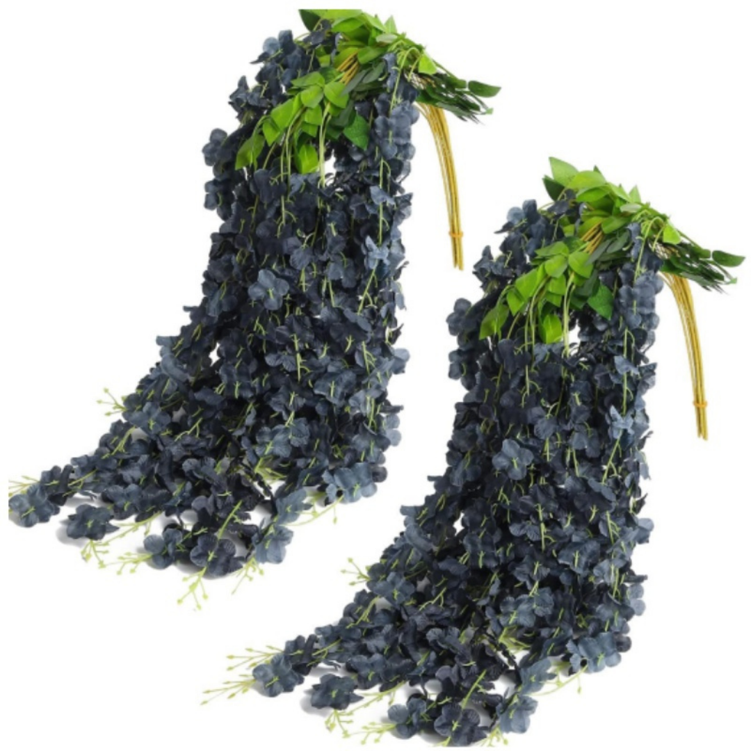 WS Black Wisteria - 12 Pack