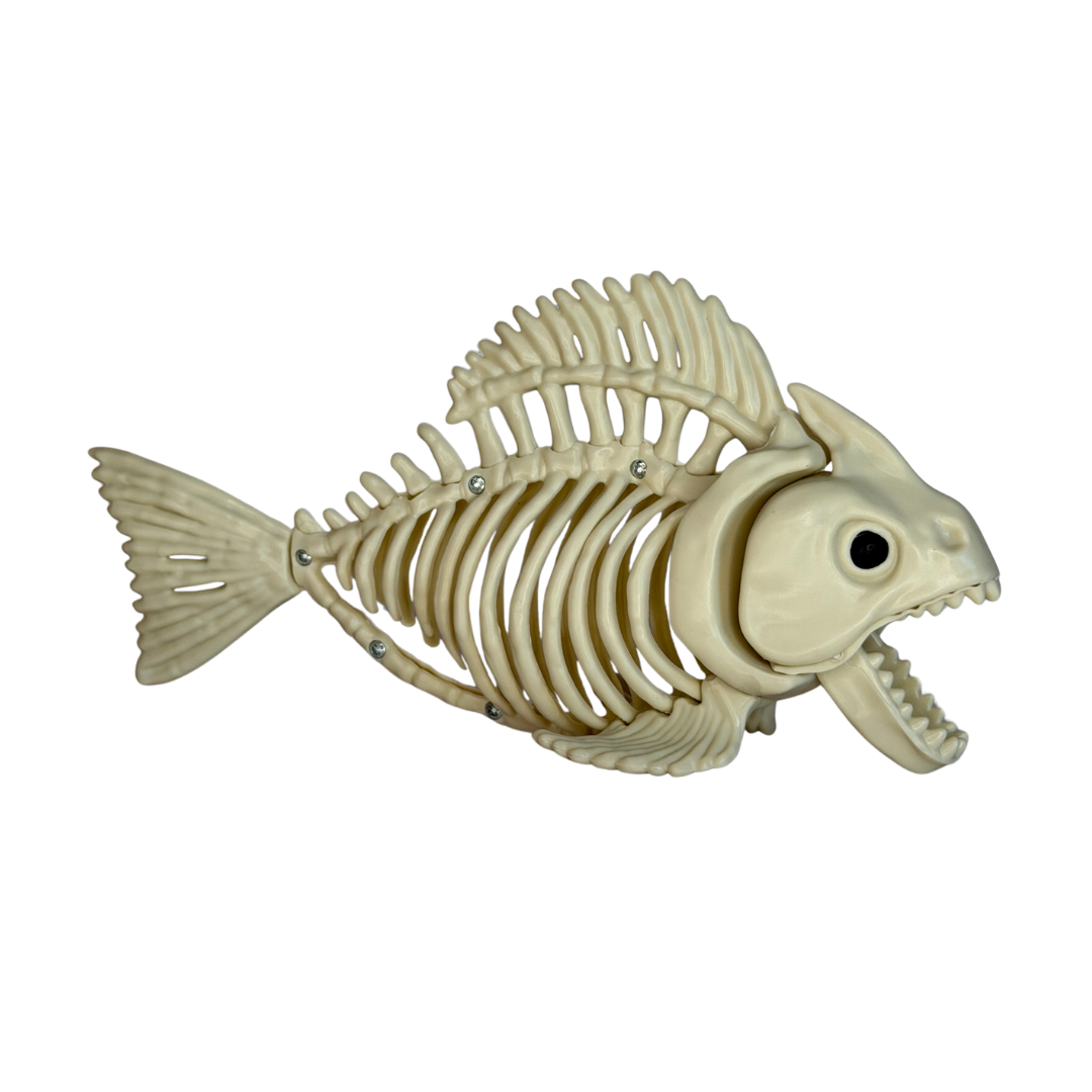Fish Skeleton - 8"