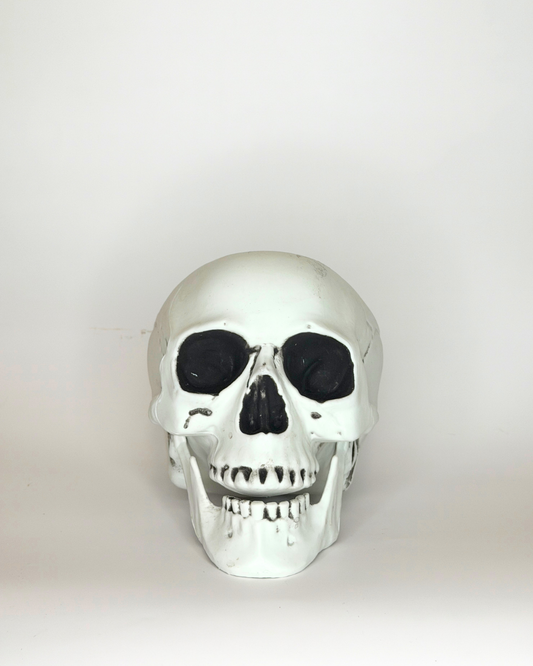 Skull - 7"