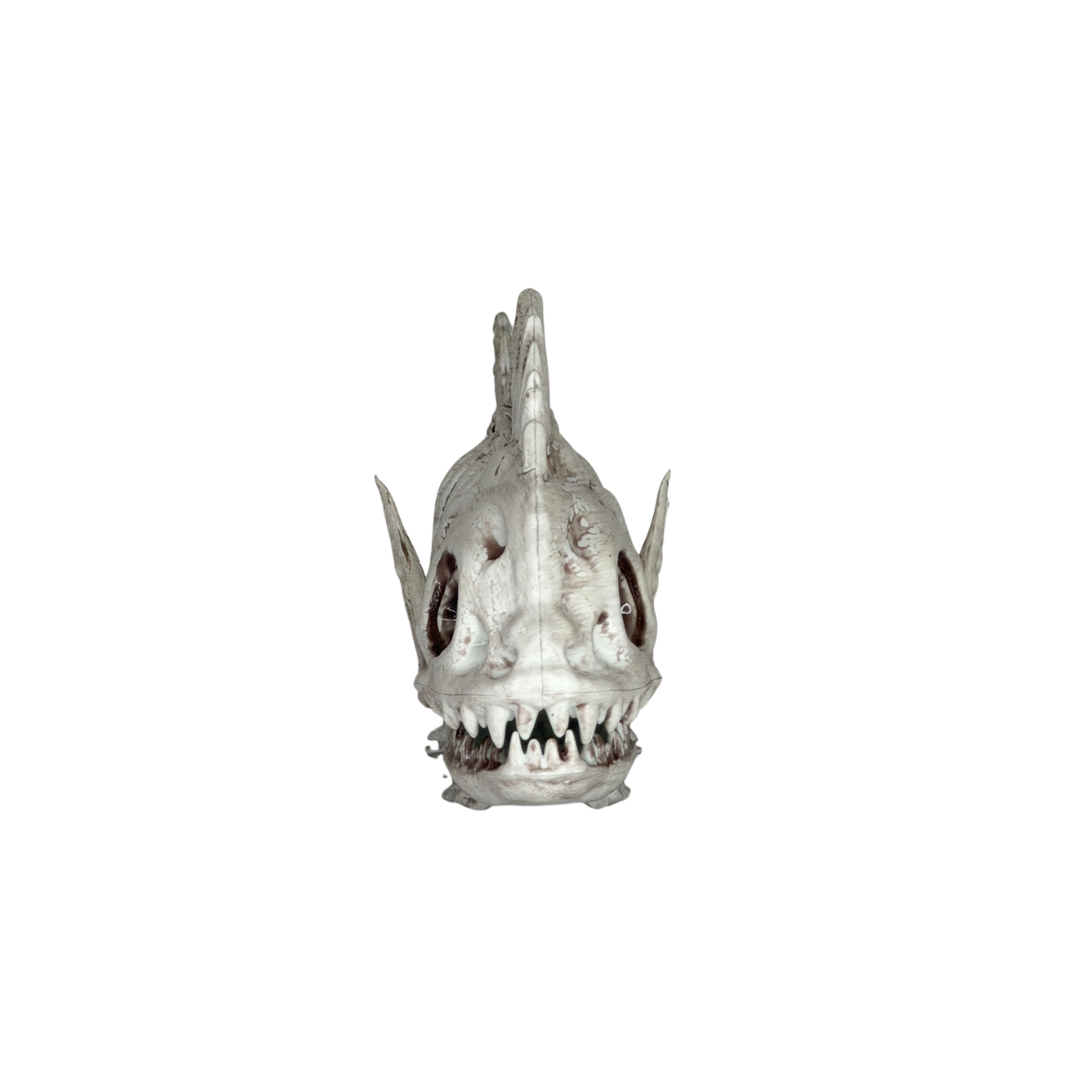 WS Fish Skeleton - 8"