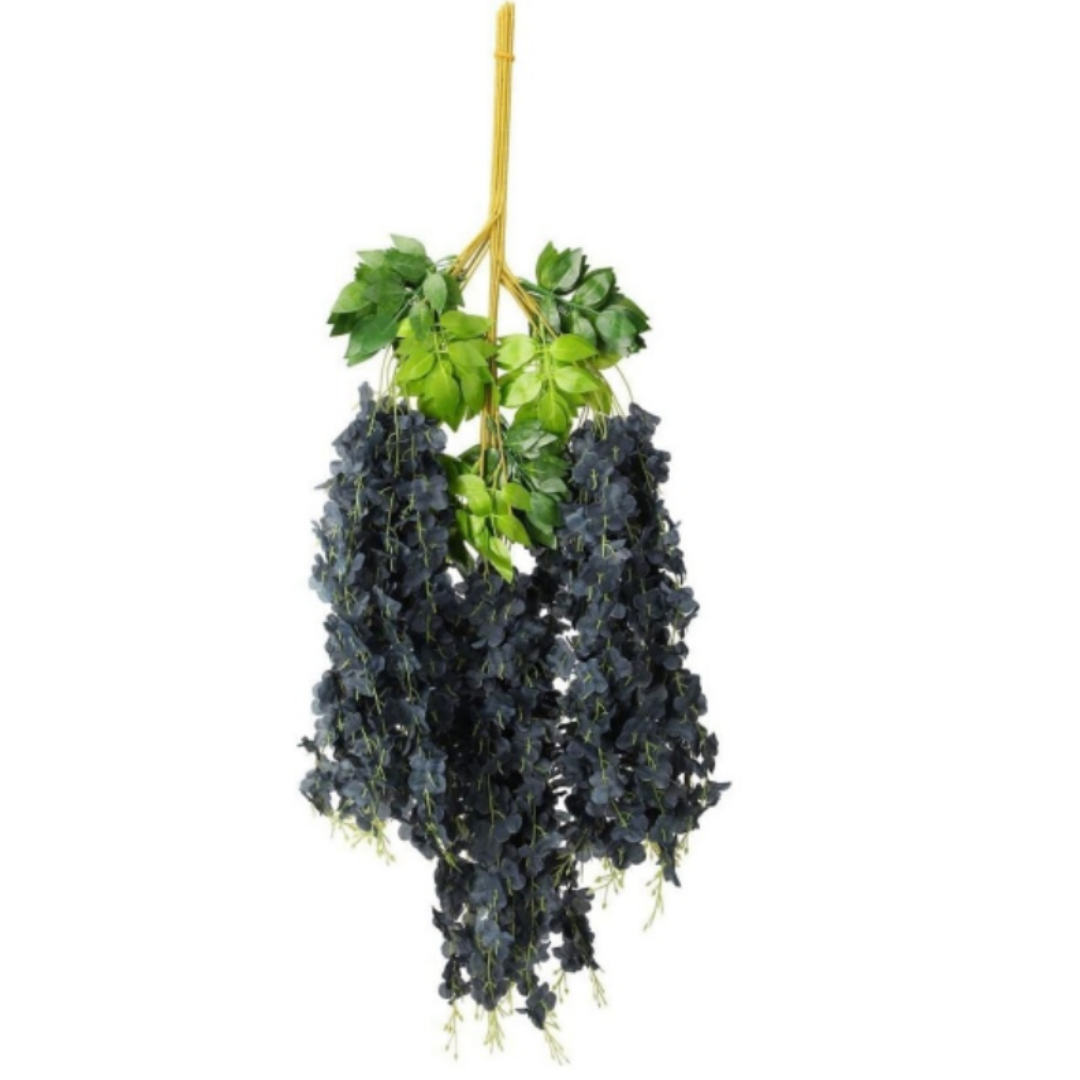 WS Black Wisteria - 12 Pack