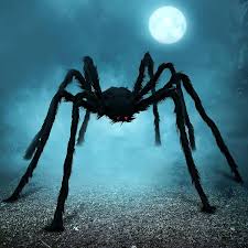 Black Fuzzy Spider