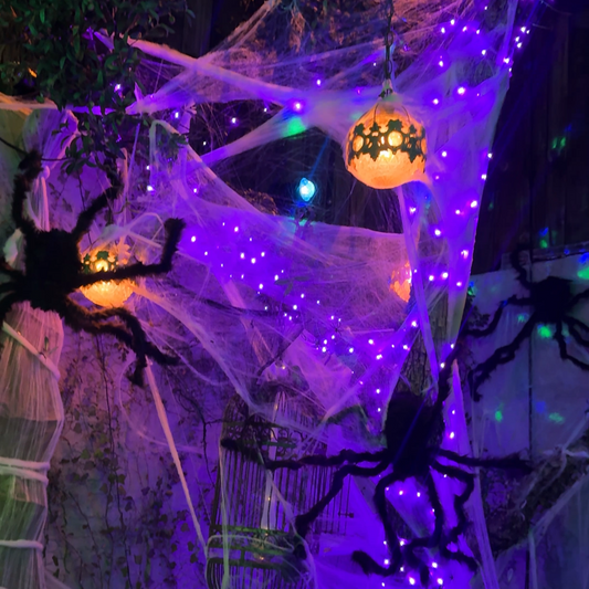 Spider's Nest Kit
